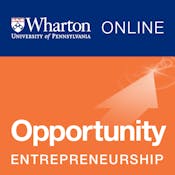 Entrepreneurship 1: Developing the Opportunity