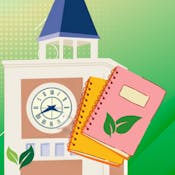 Ciencias naturales en el nivel medio: del fenómeno a la idea