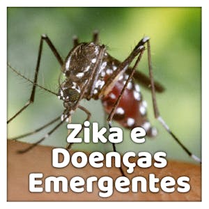 Compreendendo o Zika e doenças emergentes from Universidade de São Paulo online course platform