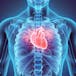 The Heart, Blood, and Lungs
