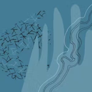 Oracle HeatWave MySQL Foundation from Oracle online course platform