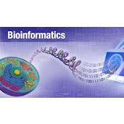 Bioinformatics: Introduction and Methods 生物信息学: 导论与方法