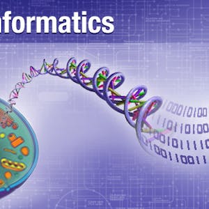 Bioinformatics Introduction and Methods 生物信息学 导论与方法