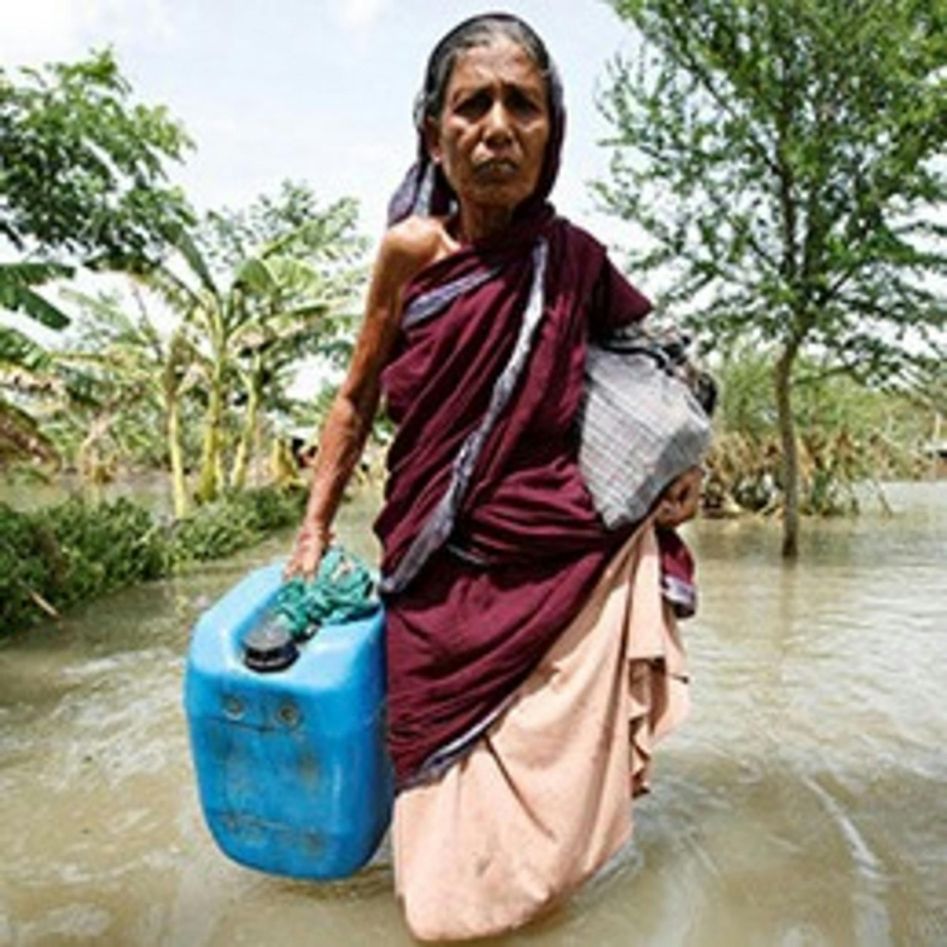 Subsistence Marketplaces Coursera - 