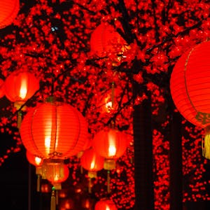 Understanding China, 1700-2000: A Data Analytic Approach, Part 1 - Online CE Course