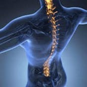 Manage Abrasive Workplace Behavior With Backbone