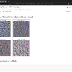 Visualizing Filters of a CNN using TensorFlow - Online CE Course
