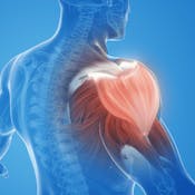 Clinical Rehab Strategies for Shoulder Dysfunction