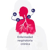 Enfermedad respiratoria crónica. Asma - EPOC