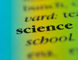how to write and publish a scientific paper (project centered course)