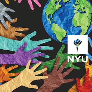 Climate Change and Human Rights from New York University online course platform