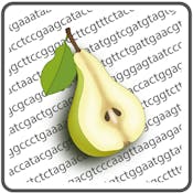 Молекулярная диетология: гены, еда и здоровье