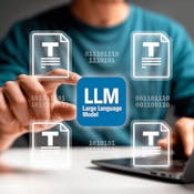 Evaluating LLM Performance and Efficiency
