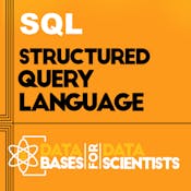 The Structured Query Language (SQL)