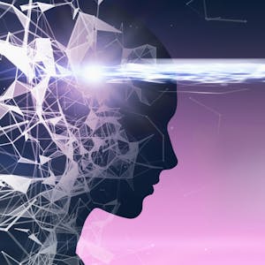 Automated Reasoning: satisfiability - Online CE Course