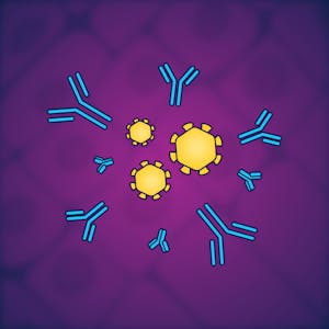 Immunology: Adaptive Immune System - Online CE Course