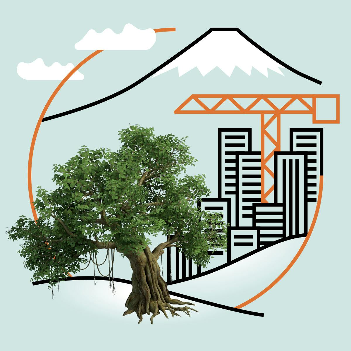 Asian Environmental Humanities Landscapes In Transition Coursera