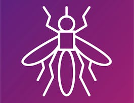 data presentation in biology data presentation in biology