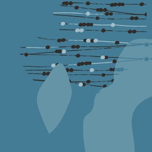 Oracle Cloud Infrastructure Foundations from Oracle online course platform