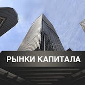 Рынки капитала и финансовые институты или "О чужих деньгах"