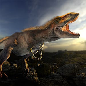 Image for the Dinosaurs: Evolution, Extinction, and Paleobiology course
