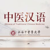 中医汉语