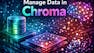 Manage Data in Chroma