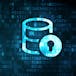 Database Essentials and Vulnerabilities