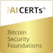 Bitcoin Security Foundations 
