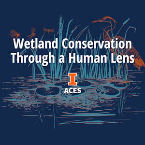 Wetland Conservation Through a Human Lens - Online CE Course