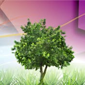 Инвестиционные проекты, слияния и поглощения