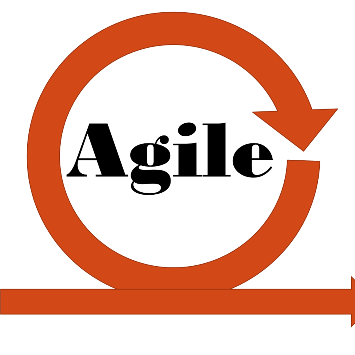 Agile Software Development