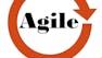 Agile Software Development
