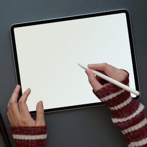 Erste Schritte in Visme - Online CE Course