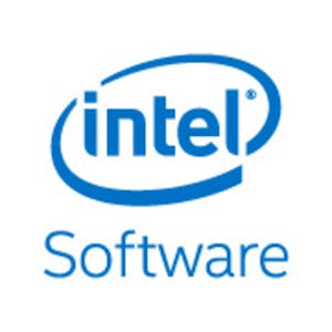 Image for the An Introduction to Practical Deep Learning course