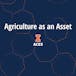 Agriculture as an Asset Class