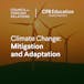 Climate Change: Mitigation and Adaptation