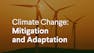 Climate Change: Mitigation and Adaptation