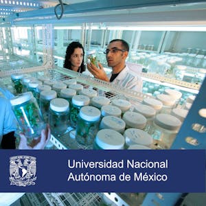 Innovación agroalimentaria