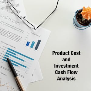 Product Cost and Investment Cash Flow Analysis