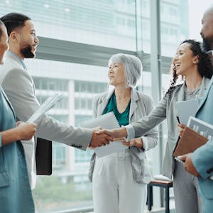 Project Management Performance Domains - Online CE Course