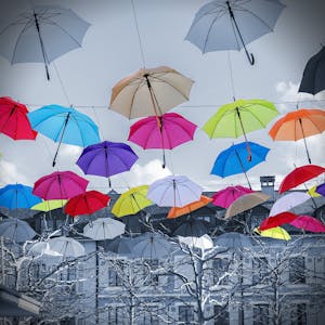 Langues et diversité de la variation au plurilinguisme