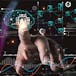 Data Science & Inteligencia Artificial aplicados a negocios