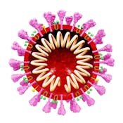 Коронавирусы и COVID-19: первые итоги и новые вызовы