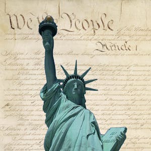 Chemerinsky on Constitutional Law – Individual Rights and Liberties from University of California, Irvine online course platform