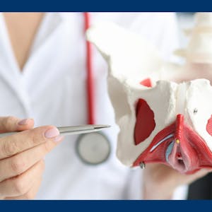 Anatomy of the Chest, Neck, Abdomen, and Pelvis - Online CE Course