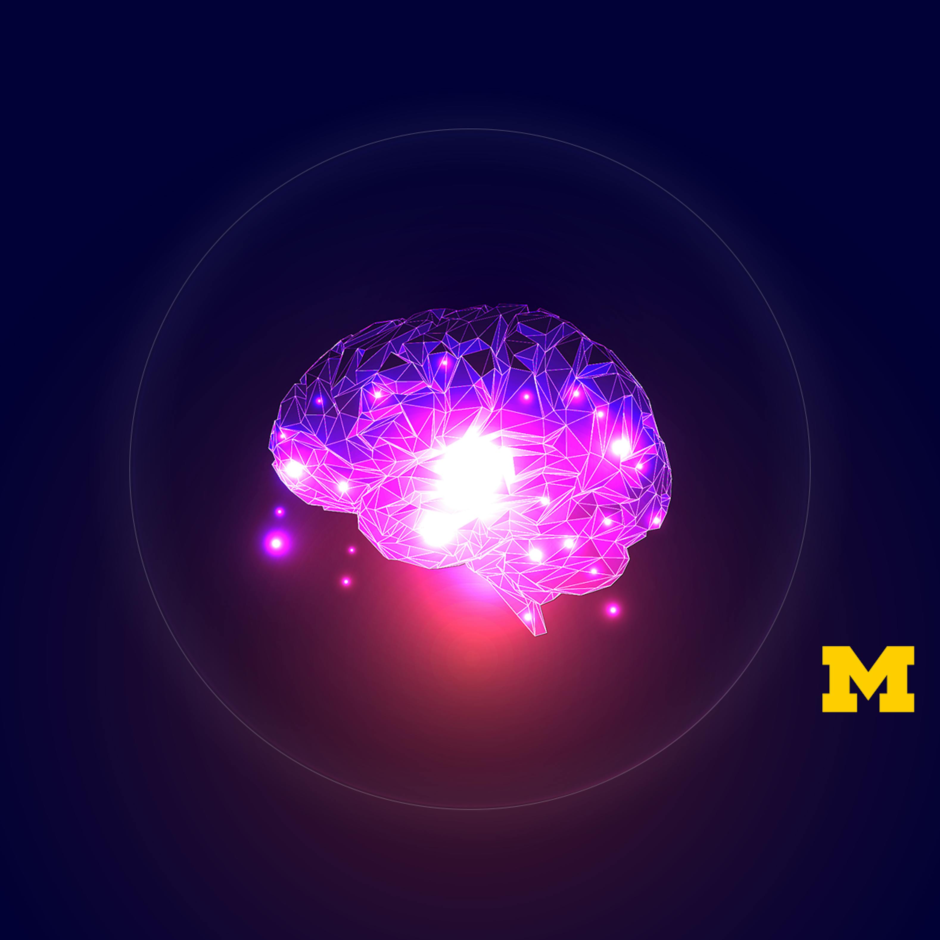 Mindware Critical Thinking For The Information Age Coursera - 