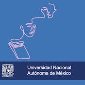 Transversalización de género en la Educación Superior