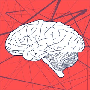 The Neuromarketing Toolbox