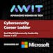 The Cybersecurity Career Ladder